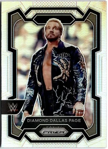 Diamond Dallas Page 2024 Panini Prizm WW Silver Prizm #152 WWE Legends - Picture 1 of 2