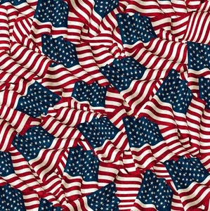 Northcott - Stonehenge Stars & Stripes 13 - wehende Flaggen - navy/multi, BTY - Bild 1 von 9