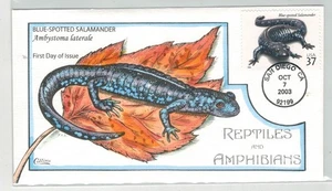 COLLINS HANDPAINTED REPTILES & AMPHIBIANS BLUE SPOTTED SALAMANDER - Picture 1 of 1