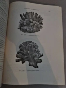 Zoologie Wirbellose Band 1 Boje Chanton Verlag G. Doin et Cie 1961 BE - Bild 1 von 9