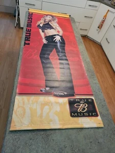 2002 True Music Budweiser Biermädchen Vinyl Banner Poster doppelseitig 22 x 60 - Bild 1 von 15