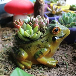 Resin Frog Planter Decorative Plant Pot Art Crafts Ideal Gift Frog Shaped Flower - Picture 1 of 7