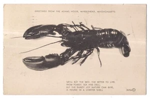 Lobster ADAMS HOUSE MARBLEHEAD B&W Massachusetts MA Postcard DB 1951 Now Closed - Picture 1 of 2