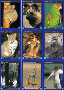 TARJETAS DE ACCIÓN AMBIENTAL SERIE 2 1993 JUEGO PARCIAL DE TARJETAS DE 49/50 CH - Imagen 1 de 4