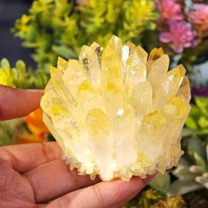 300G+ Nuevo Encontrar Grande Amarillo Fantasma Cuarto Cristal Curación Racimo Rocas - Imagen 1 de 5