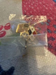 PAN AM DOUBLE FLAGS USA & PANAMA EMPLOYEE PIN - Picture 1 of 1