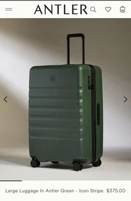 Equipaje grande a rayas Antler Icon - verde Foto 1 de 4
