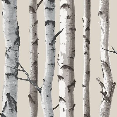 FINE DECOR BIRCH TREES 10m WALLPAPER - WHITE & SILVER NEW ROOM DECOR - Image 1 of 4