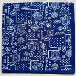 Vintage Bandana Blue Cotton White Geometric & Paisley Handkerchief Kerchief 20" - Picture 1 of 3