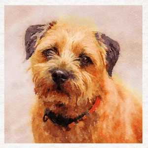 Paneles artesanales de tela Dog-Border Terrier 100% algodón o poliéster - Imagen 1 de 1