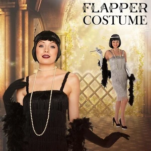 Damen schwarz & silber 1920er Jahre Flapper Charleston Gatsby Outfit Kostüm Kostüm Kostüm - Bild 1 von 15