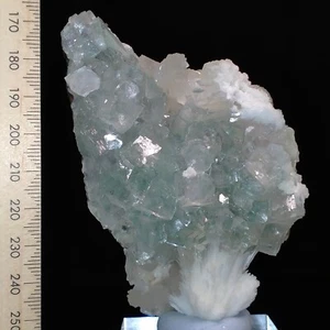 Green Apophyllite crystal cluster w/ Scolecite Stilbite mineral specimen 0.21kg - Bild 1 von 12