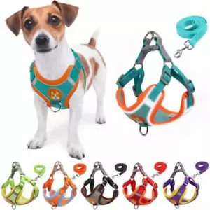 Hunde Verstellbares Geschirr Leine Set für kleine mittlere Hunde Geschirr Weste Reflektierend - Bild 1 von 29