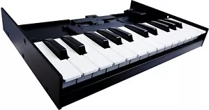 ROLAND K-25m Boutique series dedicated keyboard unit - Picture 1 of 3