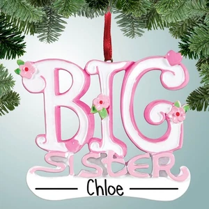 Big Sister with Banner - New Addition to the Family - 1st Christmas - Picture 1 of 1