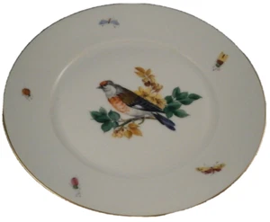 Unique Fuerstenberg Porcelain Bird Scene Plate Porzellan Furstenberg Scenic - Picture 1 of 7