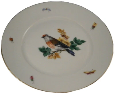 Unique Fuerstenberg Porcelain Bird Scene Plate Porzellan Furstenberg Scenic - Image 1 of 4