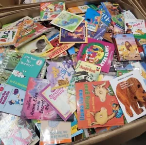 Lot of 30 RANDOM Children's Kids Chapter Books Instant Library Unsorted bundle - Picture 1 of 2