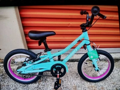 Bicicleta Guardian 14" para niños con sistema de frenos Sere Stop niñas Foto 1 de 4