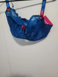 NWT Curvy Kate Teal Bra US Sz 36H l.  - Picture 1 of 6