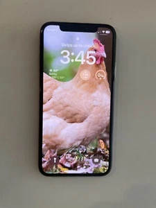 Apple iPhone XS and X 256GB - Silver (Unlocked) A1920 (CDMA + GSM) - Zdjęcie 1 z 7