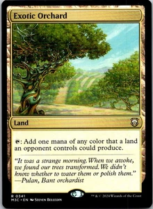 Magic the Gathering Exotic Orchard Modern Horizons 3 Commander MTG Free Shipping - Picture 1 of 1