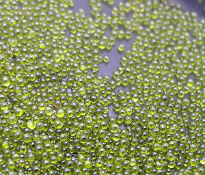 New DIY 12g Making Glass No Hole 0.6mm-0.8mm Nail Art Caviar Marbles Micro beads