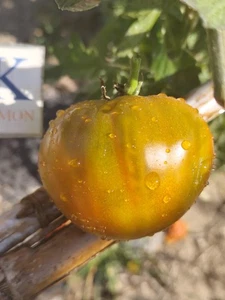 Tomate Charlie's Green , 10 semillas (354) - Picture 1 of 1