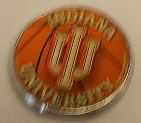 2 Indiana Hoosiers Round Basketball Shaped Refrigerator Magnets.  #32 Cover