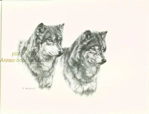 # 125 2 (two) WOLVES wildlife WOLF art print * pen & ink drawing by Jan Jellins - Picture 1 of 1