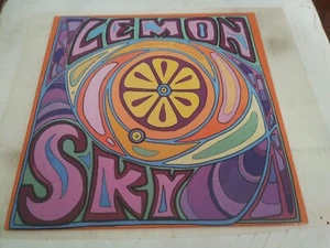 Lemon Sky - Selt Titled NM Original Private Record 2012 Local Cincinnati Rock - Foto 1 di 5