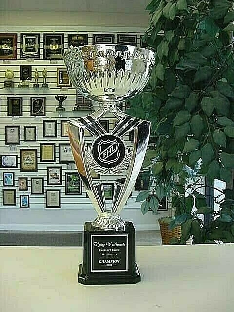 NEW HOCKEY SILVER CUP FHL INDIVIDUAL AWARD SUPER COOL AWARD TROPHY! J*5 #