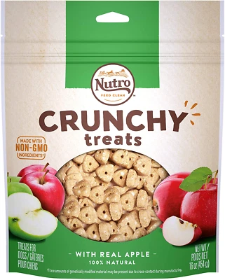 Nutro Crunchy Natural Biscuit Dog Treats with Real Apple Flavor 16 Ounces - Image 1 of 4