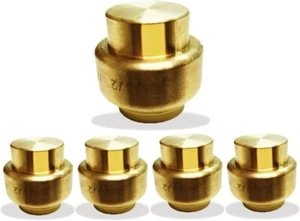 Tapa de empuje de 1/2" - Tapa de extremo de ajuste a presión - Montaje de plomería de empuje para conectar (paquete de 5) - Imagen 1 de 7