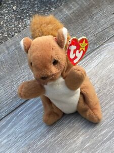Rare Ty Beanie Baby Nuts the Squirrel Tag  1996 Stuff toy animal BLcase