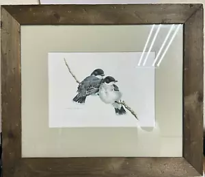 Pintura acuarela vida silvestre original David Plank 1978 dos pájaros encaramados - Imagen 1 de 5