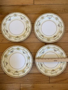 NSP China Hand Painted Porcelain Japan Flowers 9.5” Dinner Plates(4) Perfect - Picture 1 of 7