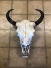Buffalo Skull Rustic European Exotic Country Wildlife Ranch Decoration SM0110
