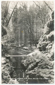 Lydford Gorge, Devon, the Pool below the Gorge - Foto 1 di 1