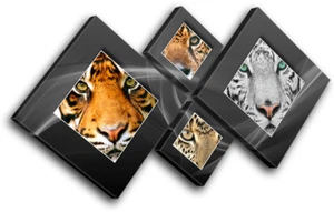 Tigre León Guepardo Animales LONA ARTE DE PARED Impresión de imagen VA - Imagen 1 de 1
