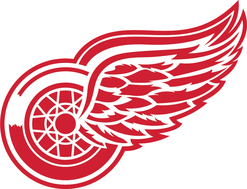 Детройт Red Wings наклейка логотип НХЛ атмосферостойкий бампер виниловая наклейка - Изображение 1 из 1