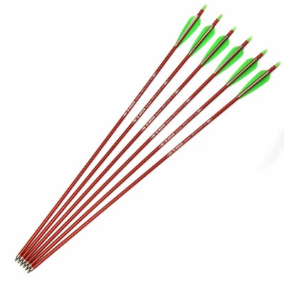 6Pcs 30" Archery Aluminum Arrows Sp300 Chageable Tips For Compound Bow Shooting - Image 1 of 4
