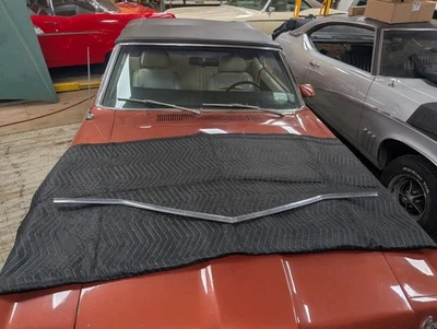 Cadillac 1966 capó moldura de labios Eldorado Deville Fleetwood moldura de parrilla delantera Foto 1 de 4