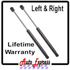 2 New Hood Lift Supports Struts Props Rods Arms - BMW 745, 750, 760 2003-2007