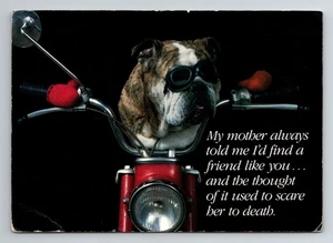 Bulldog postal 6x4" en motocicleta con gafas de sol - Mi madre siempre me lo dijo - Imagen 1 de 2