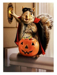 Halloween Karte, süßes Eichhörnchen Süßes oder Saures Avanti Grußkarte NEU - Bild 1 von 10