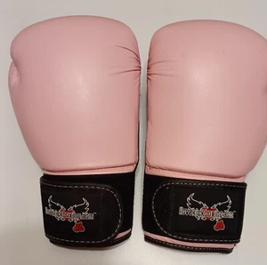 Century 12 Oz Boxing Gloves I love Kick Boxing Pink Womens Training - Picture 1 of 2