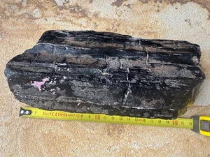 HUGE WHITBY FOSSIL JET SPECIMEN - Picture 1 of 6