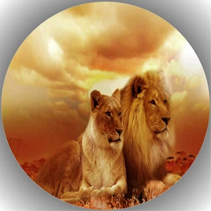 Colgador de pasteles cumpleaños fiesta imagen de tarta fondant - oblato leones P13 - Imagen 1 de 1