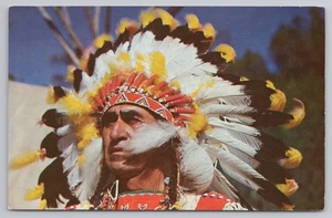 Indianerhäuptling Große Wolke um 1960 Postkarte - Bild 1 von 2